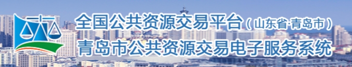 全国公共资源交易平台山东省